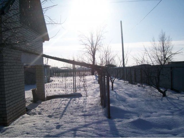 Берег элеватора в городе Балаково, фото 4, Дачи