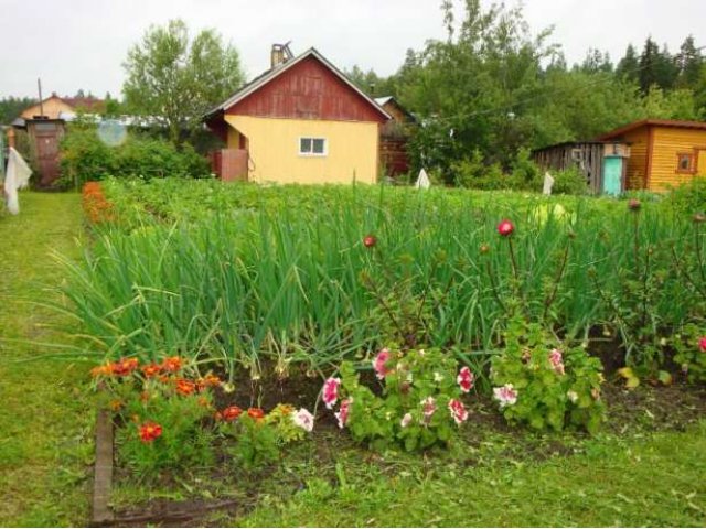 Дача в Прионежском р-не. в городе Петрозаводск, фото 5, Карелия