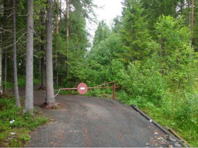 Дача в Прионежском р-не. в городе Петрозаводск, фото 7, Дачи