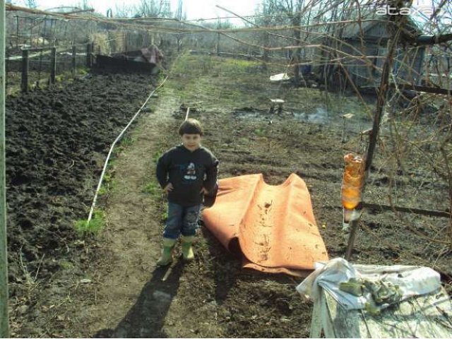 Продам дачу. в городе Балаково, фото 5, Саратовская область