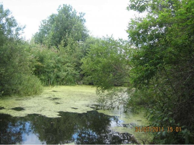 Продам дачу в городе Вязьма, фото 2, Смоленская область