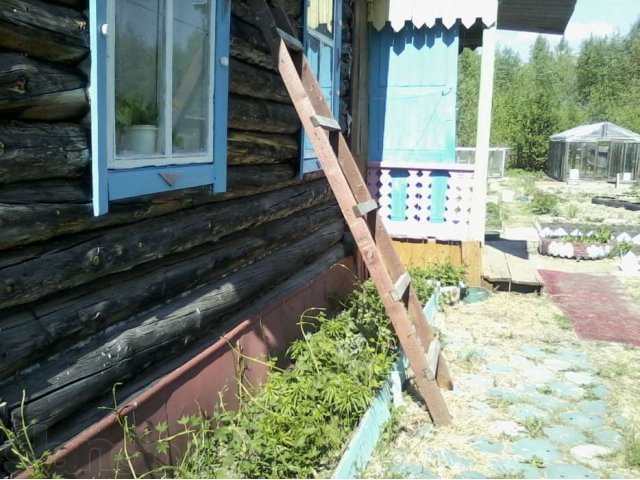 Продам дачу в городе Стрежевой, фото 1, Дачи