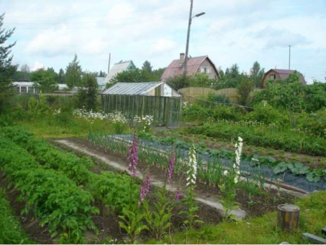 Продам дачу в Красном бору в городе Петрозаводск, фото 2, Карелия