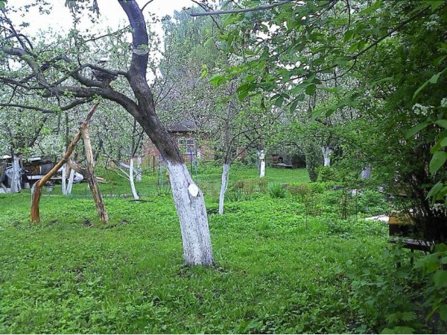 Прекрасная дача в 10мин от ж\д Купавна в городе Старая Купавна, фото 2, Дачи