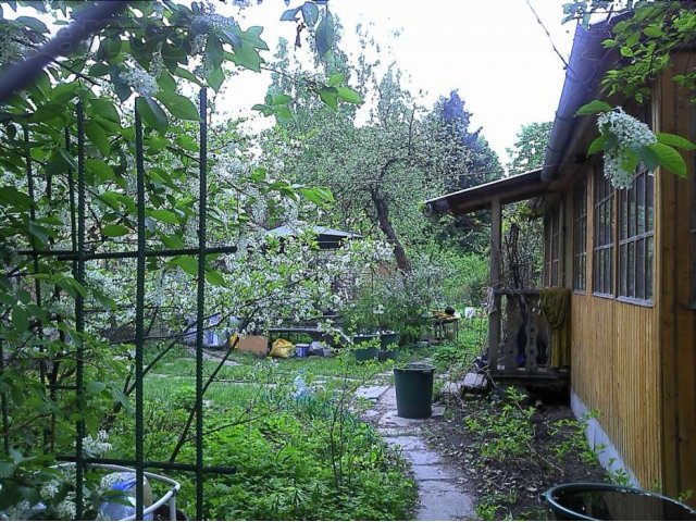 Прекрасная дача в 10мин от ж\д Купавна в городе Старая Купавна, фото 4, стоимость: 3 200 000 руб.