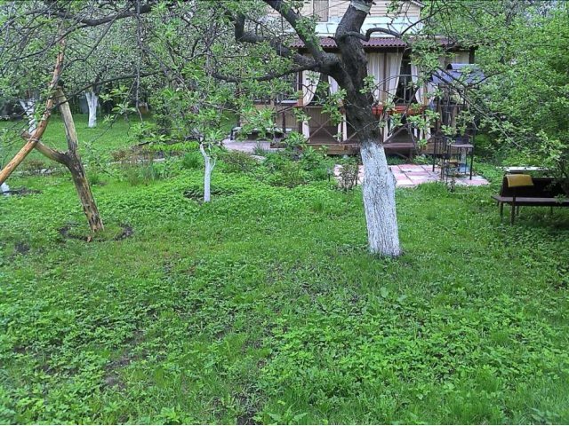 Прекрасная дача в 10мин от ж\д Купавна в городе Старая Купавна, фото 5, Дачи