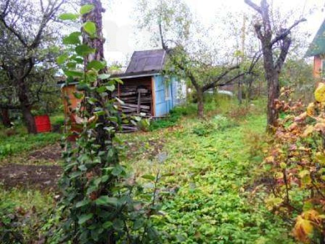 Дача СНТ им. Мичурина (Верхний остров) Заволга в городе Ярославль, фото 3, стоимость: 450 000 руб.