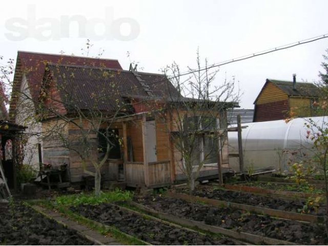 Погода в трубниково ленобласти