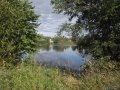 Земельный участок для вашей дачи в городе Кингисепп, фото 1, Ленинградская область