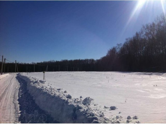 Земельный участок в коттеджном поселке Заокский район Тульской обл. в городе Алексин, фото 4, Продажа земли под индивидуальное строительство