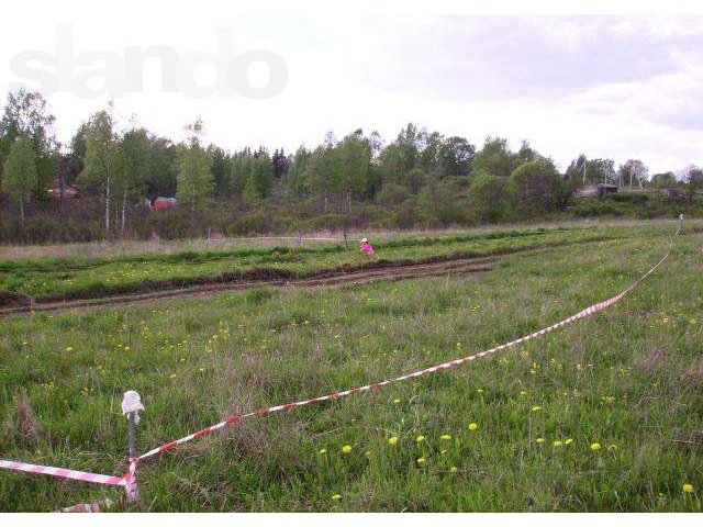 П. Дранишники, участок 17 соток в городе Всеволожск, фото 1, Продажа земли под индивидуальное строительство