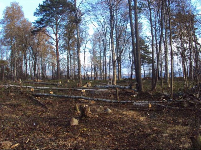 Срочно продам участок ИЖС на берегу озера Отрадное!!! в городе Приозерск, фото 8, Ленинградская область