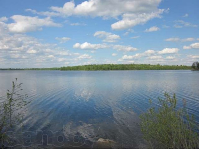 Участок 6 сот. у озера в д. Новый Брод Лужского района в городе Луга, фото 3, Ленинградская область