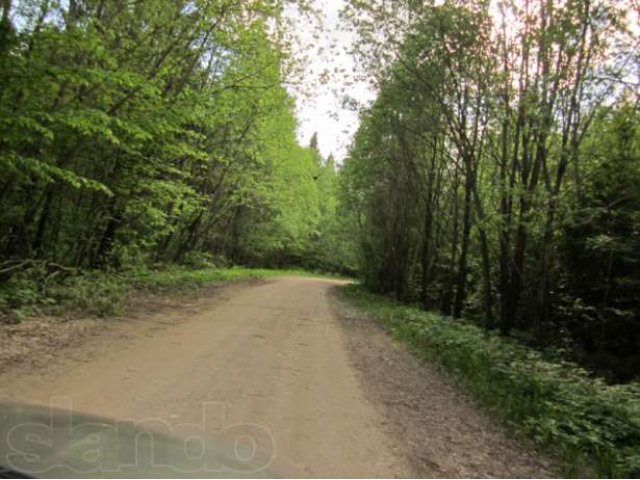 Участок 6 сот. у озера в д. Новый Брод Лужского района в городе Луга, фото 4, стоимость: 600 000 руб.