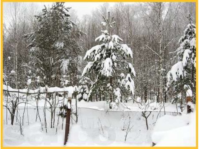 Симф.ш. 59 км, 10 сот свет, вода, примыкает к лесу, ж/д Шарапова охота в городе Серпухов, фото 3, Московская область