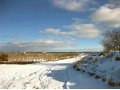 земельный участок в пРопша 11соток в городе Санкт-Петербург, фото 2, стоимость: 440 000 руб.