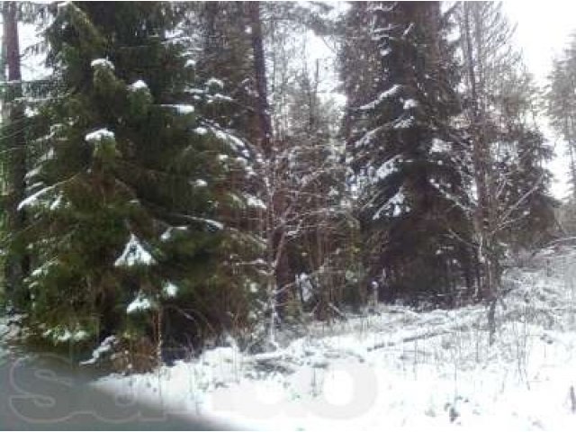 Участок в сад-ве Выборгский район в городе Санкт-Петербург, фото 2, Ленинградская область