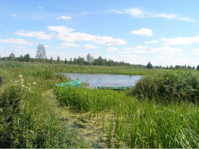 Река, сосновый лес, песчаный пляж, охота и рыбалка. Побалуй себя!!! в городе Переславль-Залесский, фото 6, стоимость: 1 440 000 руб.