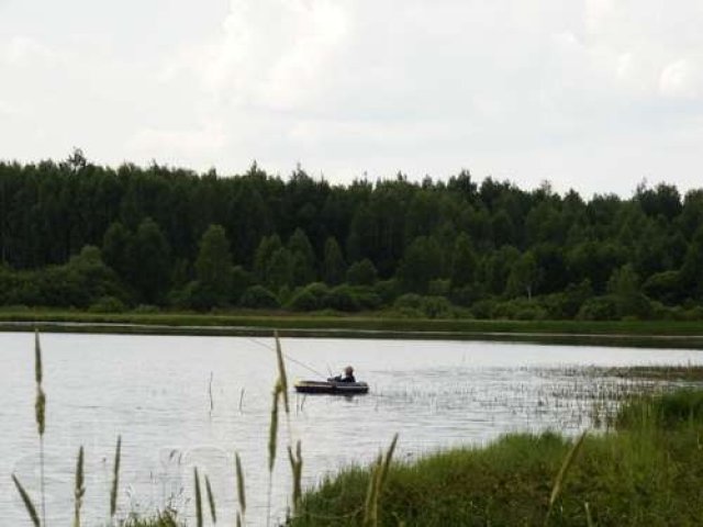 Земельный участок под ИЖС в живописной деревне с озером в городе Орехово-Зуево, фото 4, стоимость: 500 000 руб.