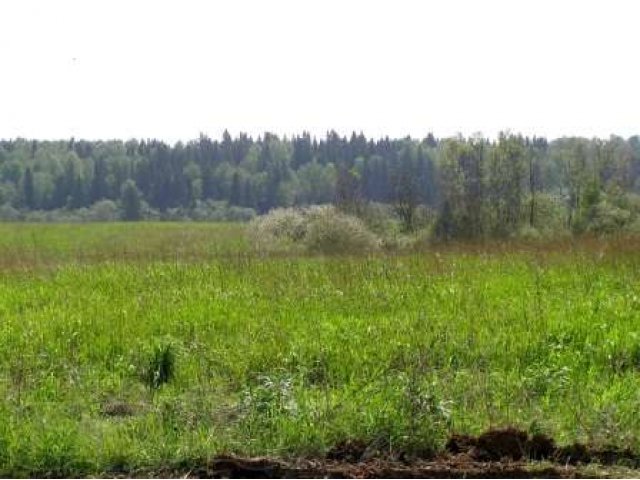 Земельный участок в д. Клусово в городе Дмитров, фото 3, стоимость: 900 000 руб.