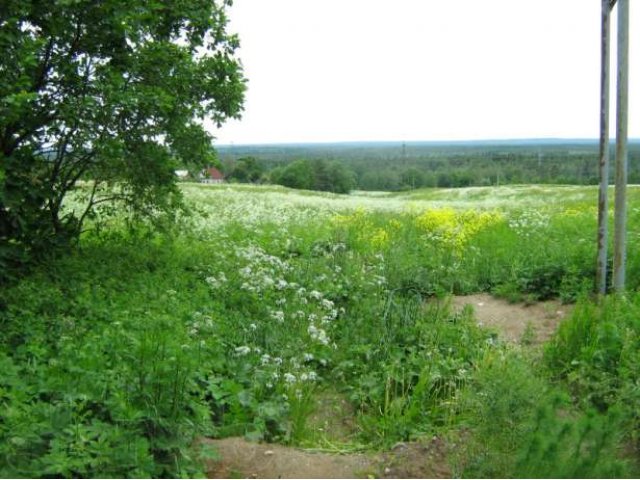 Земельный участок. в городе Санкт-Петербург, фото 4, Продажа земли под индивидуальное строительство