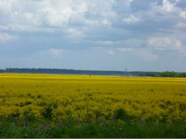 Продам участок с новой баней в городе Волосово, фото 3, Ленинградская область