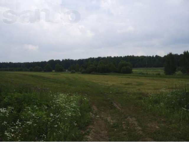 Участки в Пушкинском районе с. Ельдигино в городе Пушкино, фото 2, Московская область