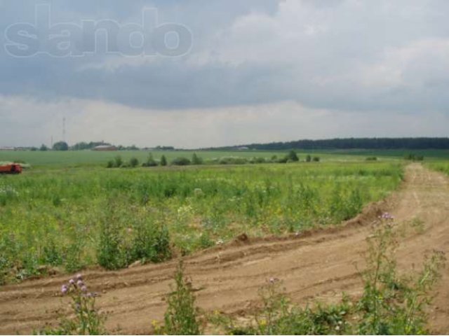 Участки в Пушкинском районе с. Ельдигино в городе Пушкино, фото 5, Московская область