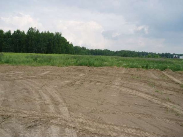 Участки в Пушкинском районе с. Ельдигино в городе Пушкино, фото 8, Московская область