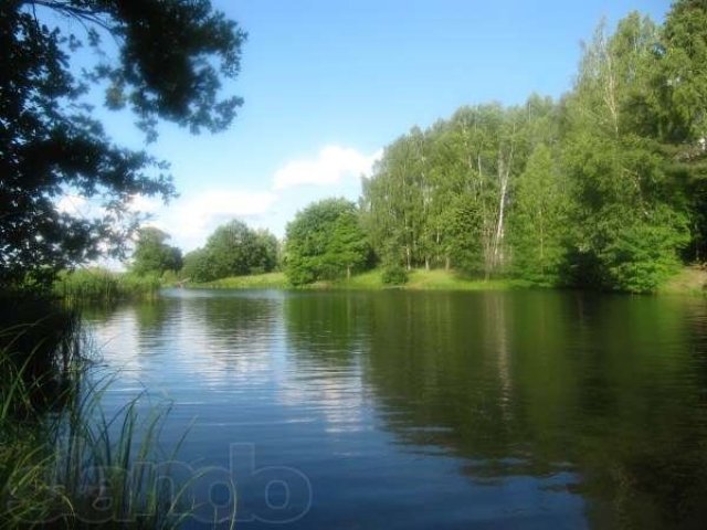 Земля на берегу Десногорского водохранилища в Смоленской области в городе Десногорск, фото 1, Смоленская область