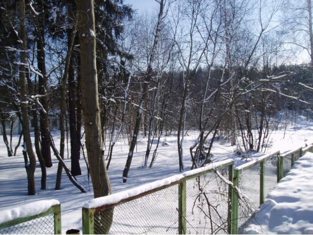 Земельный участок в Пушкинском районе, п. Правдинский в городе Пушкино, фото 4, Продажа земли под индивидуальное строительство