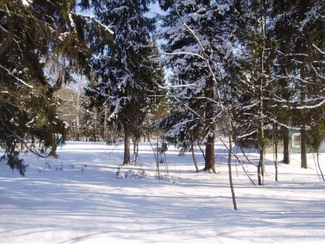 Земельный участок в Пушкинском районе, п. Правдинский в городе Пушкино, фото 5, Московская область