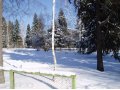 Земельный участок в Пушкинском районе, п. Правдинский в городе Пушкино, фото 3, Продажа земли под индивидуальное строительство