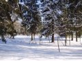 Земельный участок в Пушкинском районе, п. Правдинский в городе Пушкино, фото 5, стоимость: 65 000 000 руб.