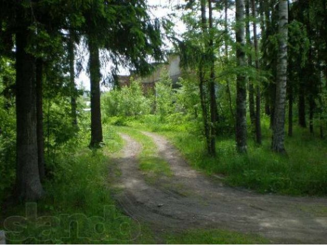 Вырица, 15 соток. в городе Санкт-Петербург, фото 1, Продажа земли под индивидуальное строительство