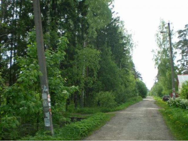 Вырица, 15 соток. в городе Санкт-Петербург, фото 3, стоимость: 1 100 000 руб.