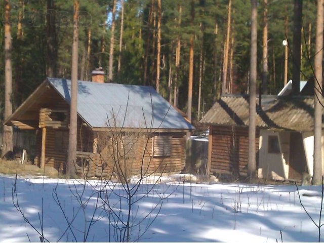 Продам шикарный ПОСЛЕДНИЙ участок в Колосково в городе Санкт-Петербург, фото 2, Ленинградская область