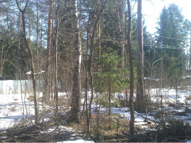 Продам шикарный ПОСЛЕДНИЙ участок в Колосково в городе Санкт-Петербург, фото 3, стоимость: 9 900 000 руб.