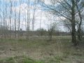 Продам землю ИЖС Ретюнь Лужского в городе Луга, фото 2, стоимость: 250 000 руб.