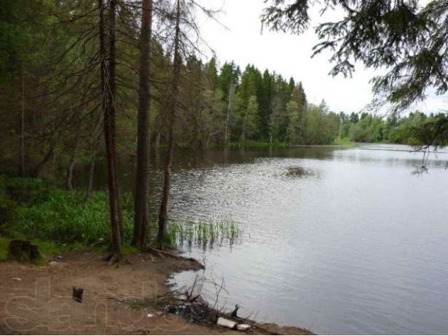 Продаёться земельный участок на озере Глубоком в в городе Выборг, фото 2, Ленинградская область