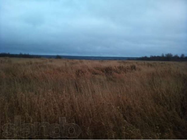 Приозерский р-н. Ольховка уч. 140 соток с видом на озеро Суходольское в городе Санкт-Петербург, фото 4, Продажа земли под индивидуальное строительство