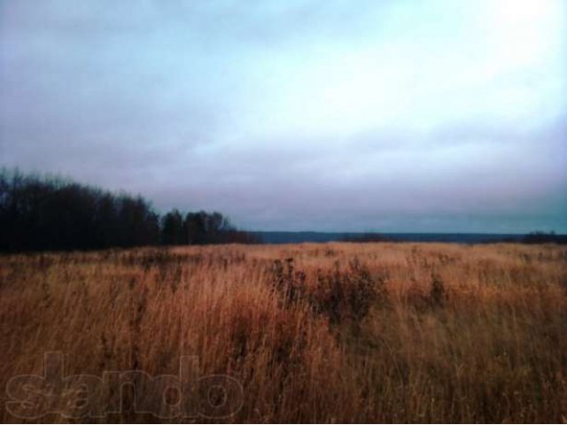 Приозерский р-н. Ольховка уч. 140 соток с видом на озеро Суходольское в городе Санкт-Петербург, фото 5, Ленинградская область