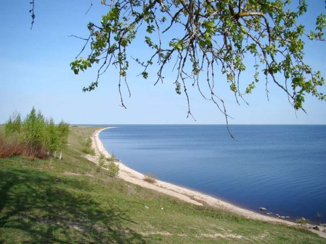 Продам землю в Новгородской обл. в городе Санкт-Петербург, фото 1, Продажа земли под индивидуальное строительство