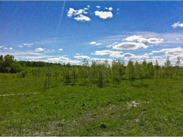 Купить участок около Волги  от собственника в городе Ржев, фото 5, Тверская область