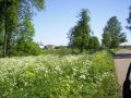 Д. Прологи, 12,5 сот. в городе Волосово, фото 1, Ленинградская область