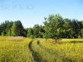 50 сот. под ИЖС в деревне в городе Волосово, фото 1, Ленинградская область