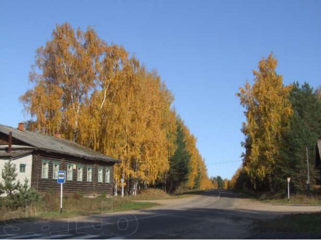 Продам земельный участок с домом,Брейтовского р-на, д.Медухово в городе Ярославль, фото 4, Продажа земли под индивидуальное строительство