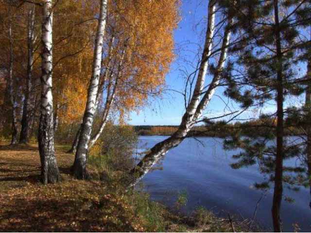 Продам земельный участок с домом,Брейтовского р-на, д.Медухово в городе Ярославль, фото 6, стоимость: 1 руб.