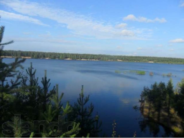 Эксклюзивный участок в сосновом бору в городе Выборг, фото 4, Ленинградская область