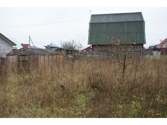 Красное село, 10 сот, СНТ в городе Санкт-Петербург, фото 6, Ленинградская область